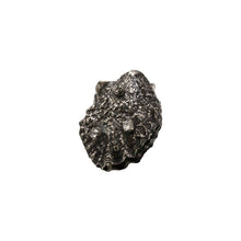 vittorio ceccoli jewelry design oyster ring jewel gold silver